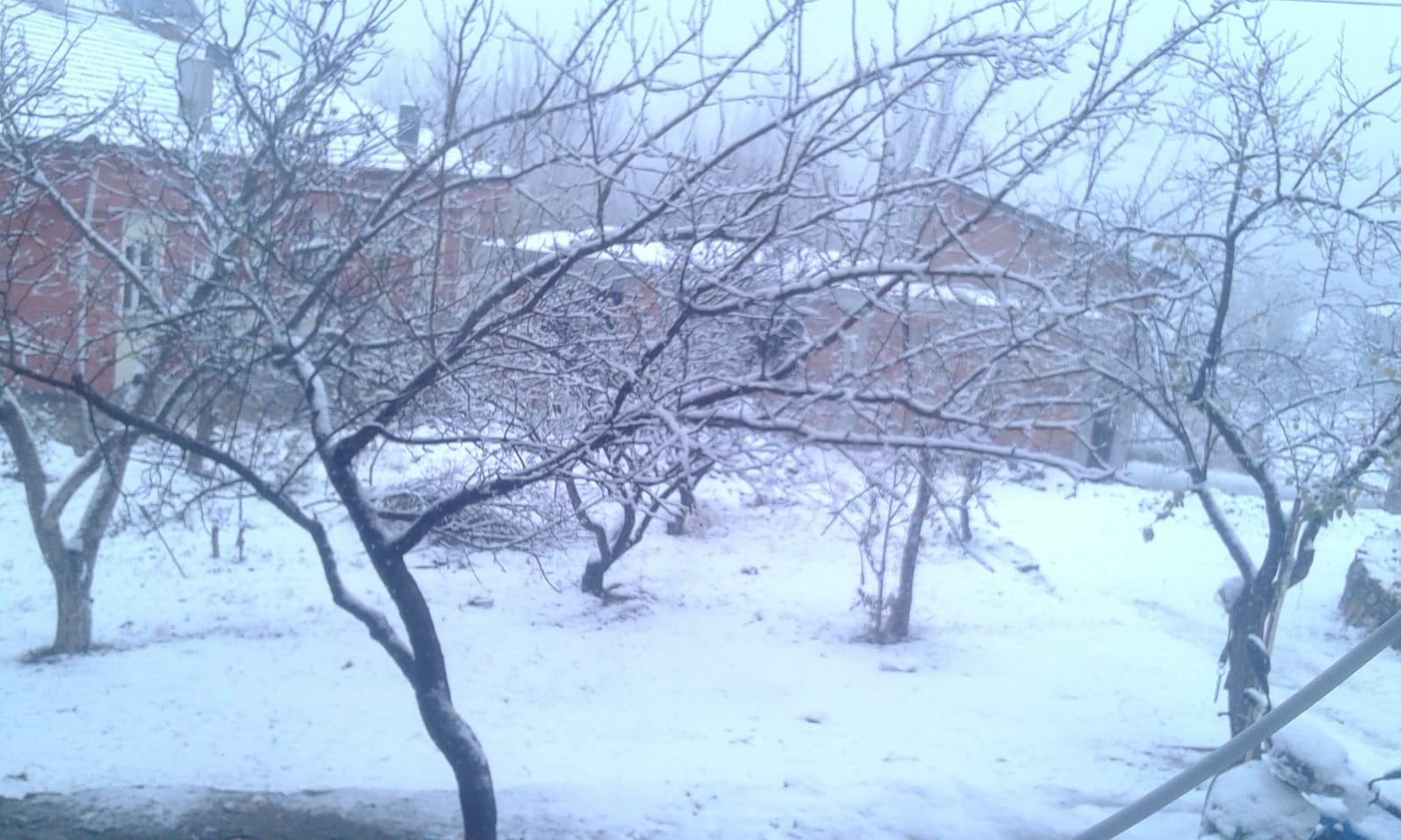 kızlar kapatılsın